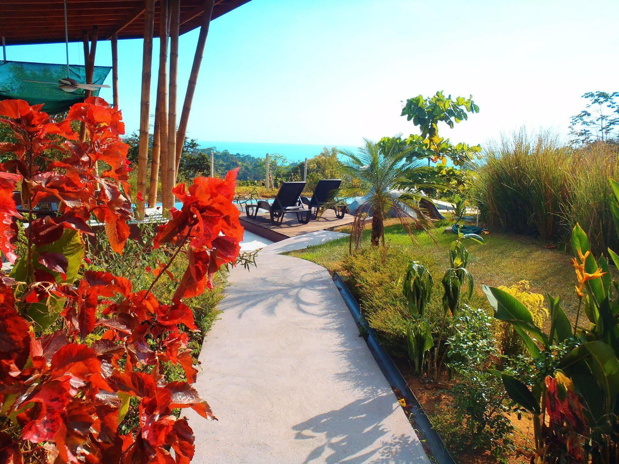 Eden Tica Lodge Uvita Ngoại thất bức ảnh