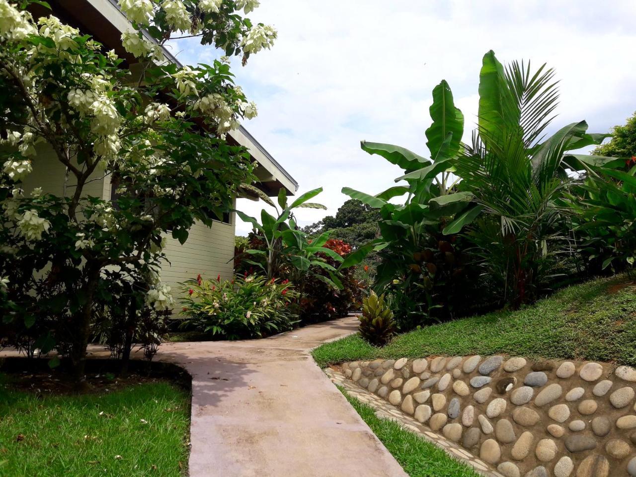 Eden Tica Lodge Uvita Ngoại thất bức ảnh