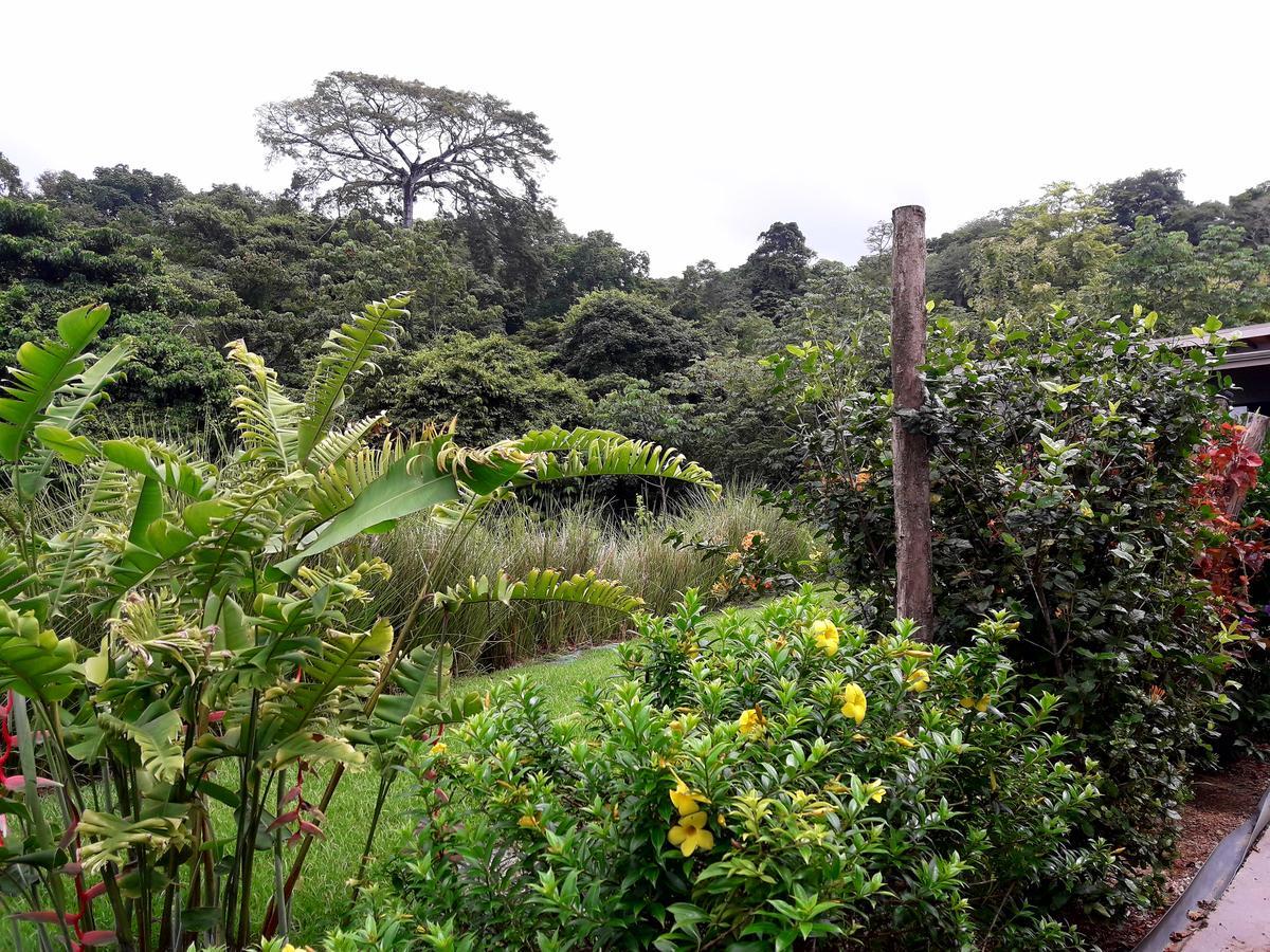 Eden Tica Lodge Uvita Ngoại thất bức ảnh