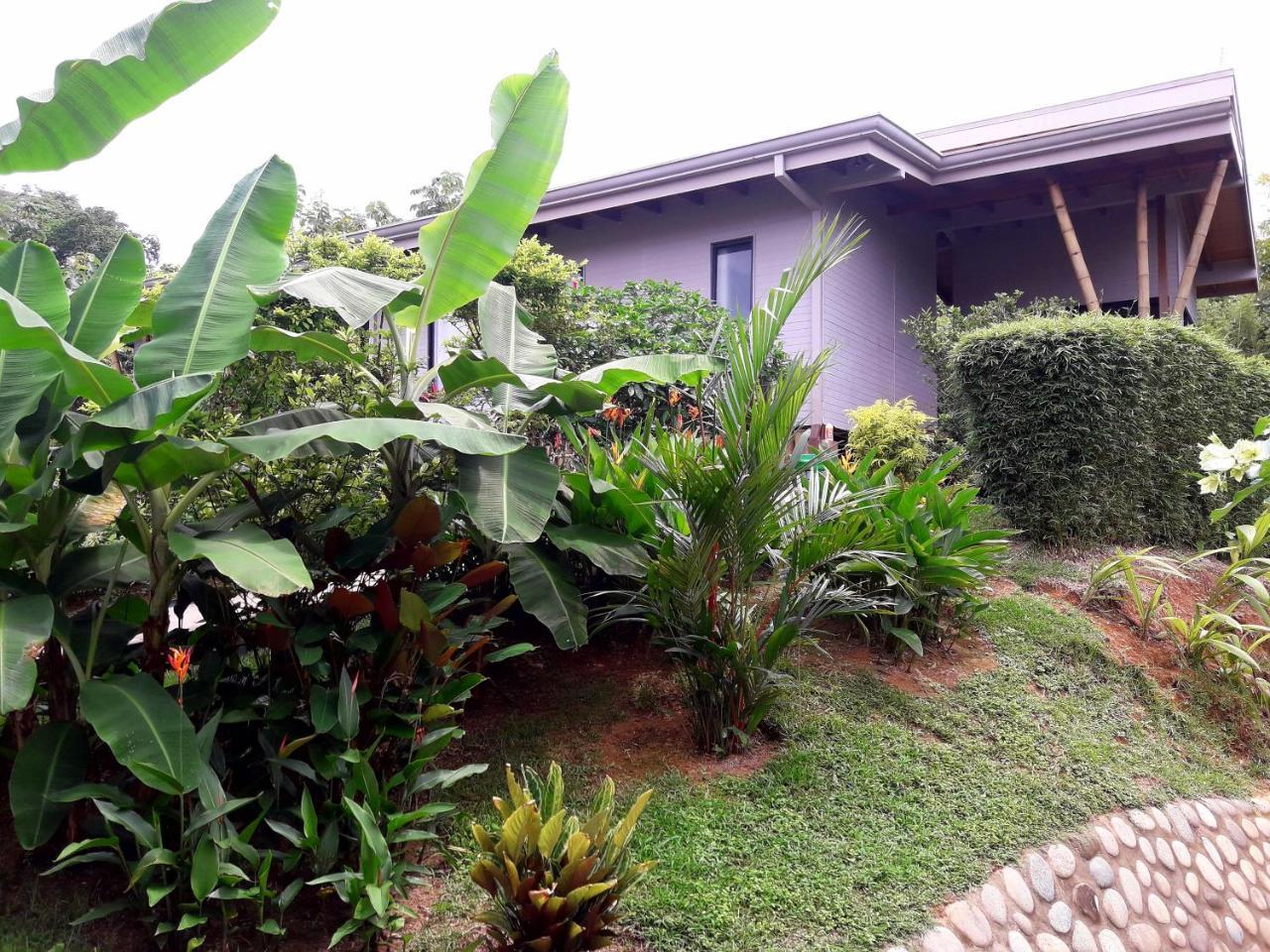 Eden Tica Lodge Uvita Ngoại thất bức ảnh
