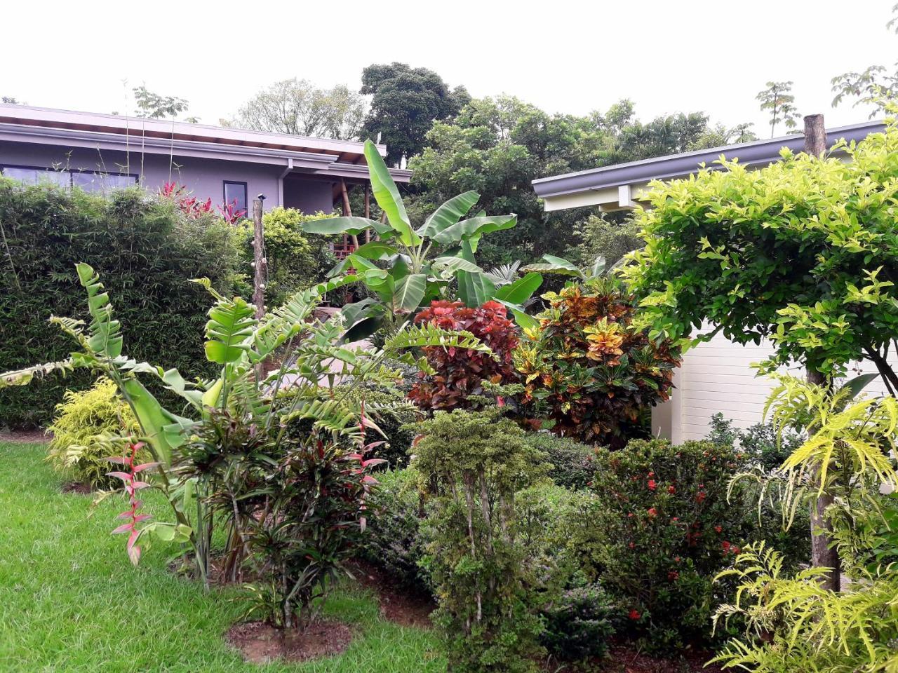 Eden Tica Lodge Uvita Ngoại thất bức ảnh